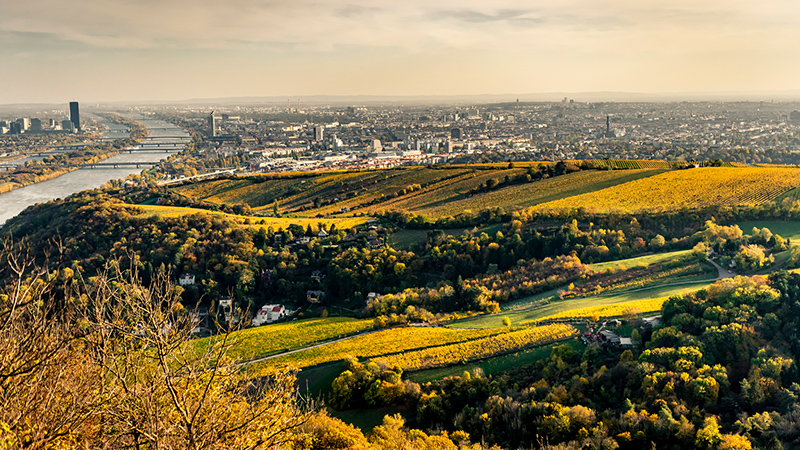 Copyrights: ©️ ÖWM/Robert Herbst Zu sehen ist der Nussberg im Weinbaugebiet Wien